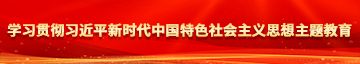 几把操逼视频学习贯彻习近平新时代中国特色社会主义思想主题教育